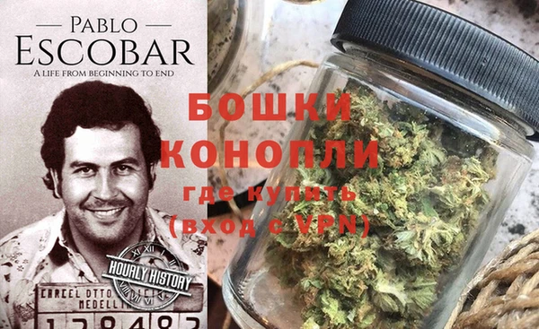 дмт Покачи