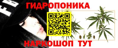 МДПВ Сланцы