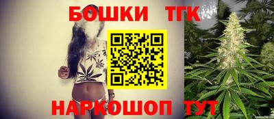 МДПВ Сланцы