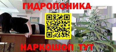 МДПВ Сланцы